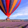 Image of In the Air