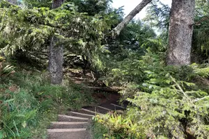 Tour image of Oregon Coast Day Trip: Cannon Beach and Haystack Rock