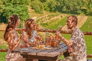 Tour image of Saint-Emilion Grand Cru Classé: Picnic & Visit in English