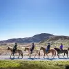 Image of Horseback Riding