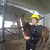 Image of Horseback Riding