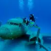 Image of Swimming