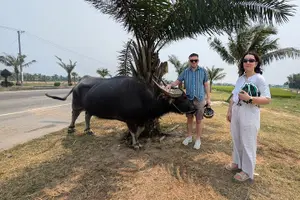 Tour image of Hoi An Countryside Cycling Tour : Local Life & Fun Cooking Class