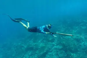 Tour image of Custom Private Boat Tour with Snorkeling at Catalinas & much more