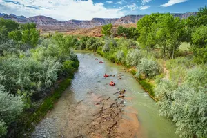 Tour image of Float Zion Virgin River Tubing Adventures
