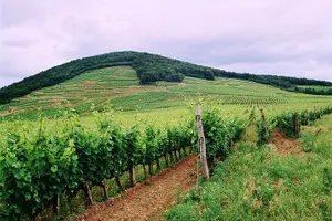 Image of Hungary