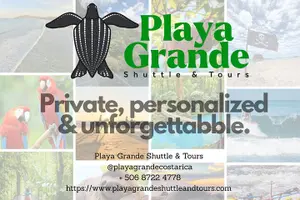 Tour image of Daily Private Vehicle, Driver/Guide and Tailor Itinerary