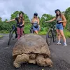 Image of Mountain Bike Tours
