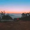 Image of 4WD Tours