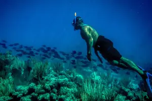 Tour image of Norman Island-The Indians & The Caves Sailing & Snorkeling tour