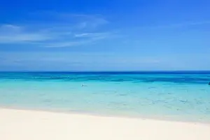 Tour image of One Day Tour to Koh Rok & Koh Haa By Tin Adventure Sea Tour from Koh Lanta