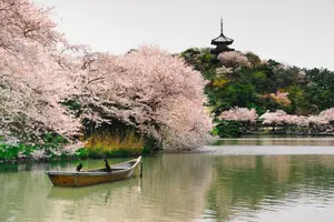 Tour image of Private Yokohama Family Tours with Local Guides 100% Personalized
