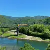 Image of Nature and Wildlife Tours