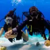Image of Freediving