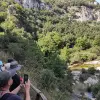 Image of Nature Walks