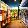 Image of Historical Tours