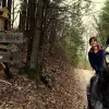 Image of Horseback Riding