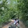 Image of Safaris