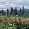Image of Nature Parks