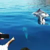 Image of On the Water