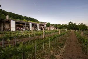 Tour image of Lake Balaton Full Day Private Wine Tour