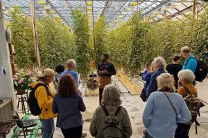 Tour image of Golden Circle Tales, Tomato Farm & Kerid – Small Group from RVK