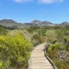 Image of Nature Walks
