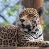 Image of Zoos & Wildlife Parks