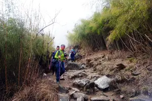 Tour image of Kathmandu to Annapurna Base Camp 5 Days Trek