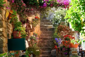 Tour image of Private Tour from Saint-Tropez to the flowers city