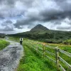 Image of Nature and Wildlife Tours