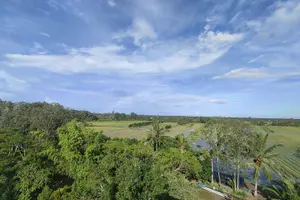 Tour image of Tour for Nature lover- Lung Ngoc Hoang Nature Reserve in Can Tho