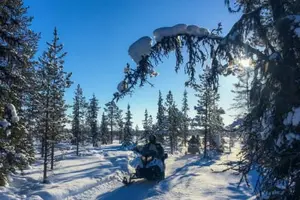 Tour image of Arctic Snowmobile Excursion from Kiruna with Lunch