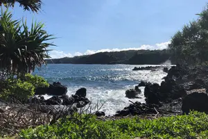 Tour image of Full-Circle "Reverse" - Luxury Road to Hana Tour from South Maui