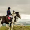 Image of Pack Animal Tours