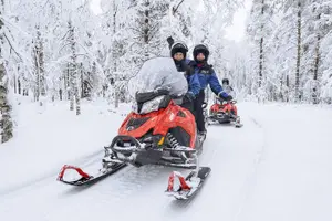 Tour image of Snowmobile Safari into the Arctic Circle Forest
