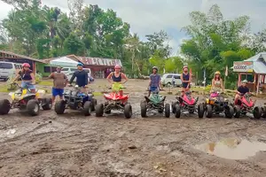 Tour image of 2025 Tarsier, Waterfalls & Chocolate Hills Tour