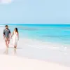Image of Weddings & Celebrations
