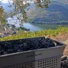 Image of Wine Making Workshops