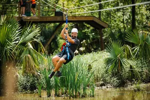Tour image of New Orleans Zipline Swamp Tour