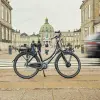 Image of Bike Rentals