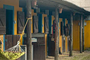 Tour image of Viana do Castelo Horseback Riding Tour with Transport from Porto / Braga
