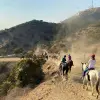 Image of Pack Animal Tours