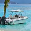 Image of Speed Boat Rentals