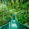 Image of Hiking Tours