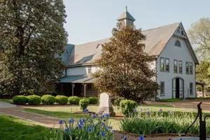 Tour image of Belle Meade Guided Mansion Tour with Complimentary Wine Tasting