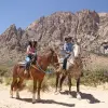 Image of Horseback Riding