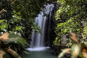 Tour image of Chasing Waterfalls in Grenada Hike and Adventure Tours