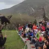 Image of Bird Watching