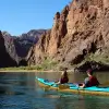 Image of Wildlife Watching